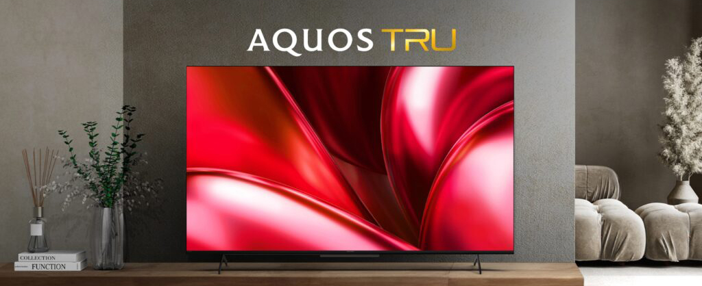 Play MKV movies on Sharp AQUOS TV
